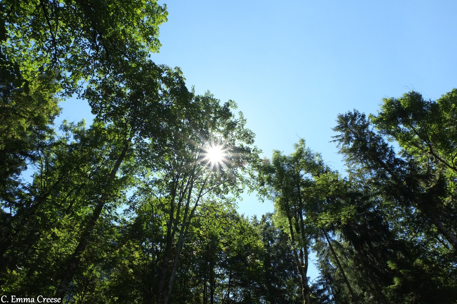Neuschwenstein Castle Fussen Bavarian Germany Adventures of a London Kiwi