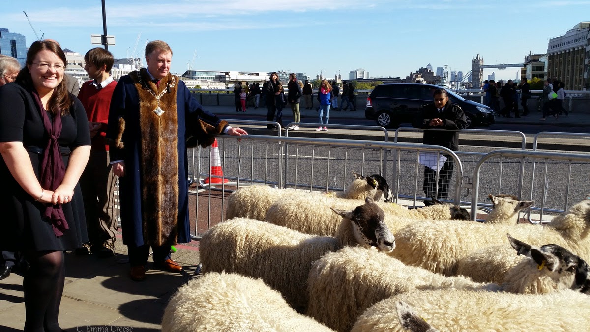 Herding Sheep Across London Bridge Adventures of a London Kiwi