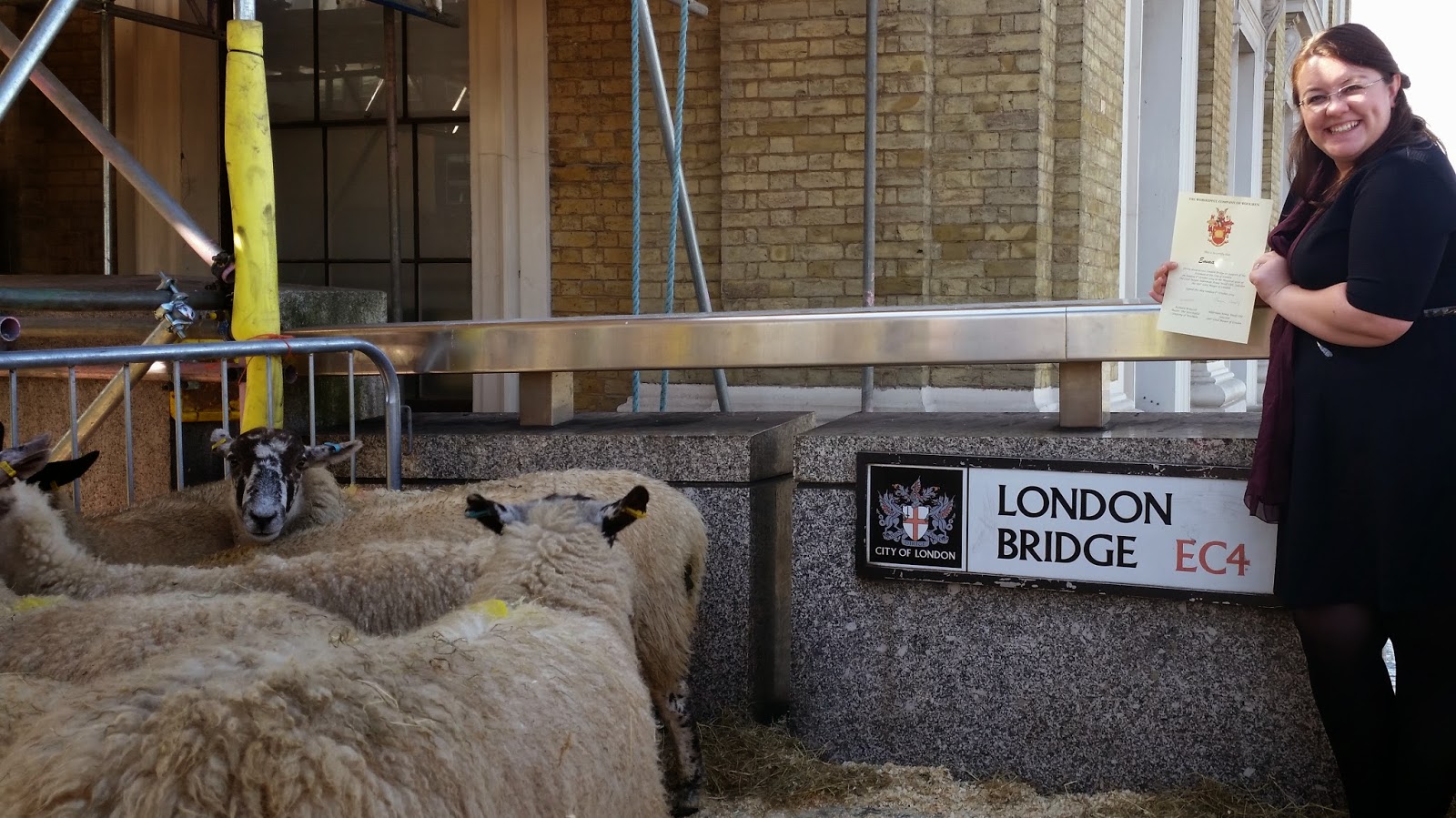 Herding Sheep Across London Bridge Adventures of a London Kiwi