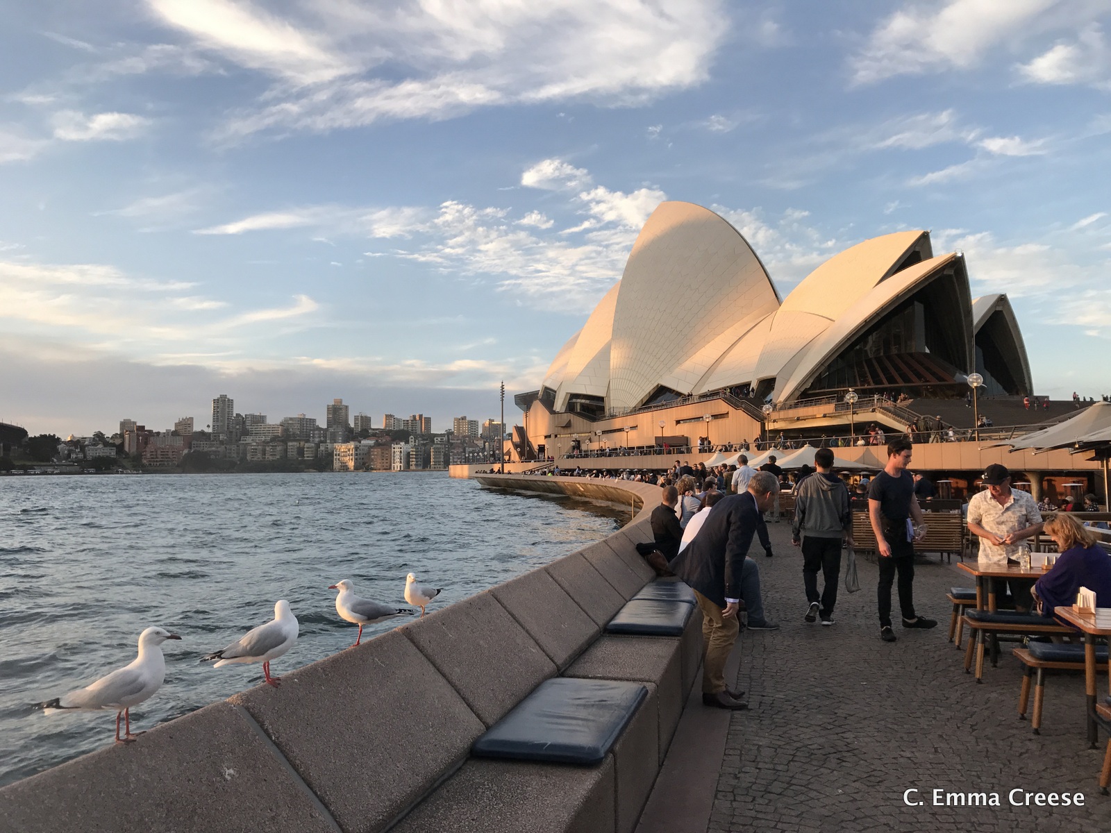 48 Hours in Sydney Australia