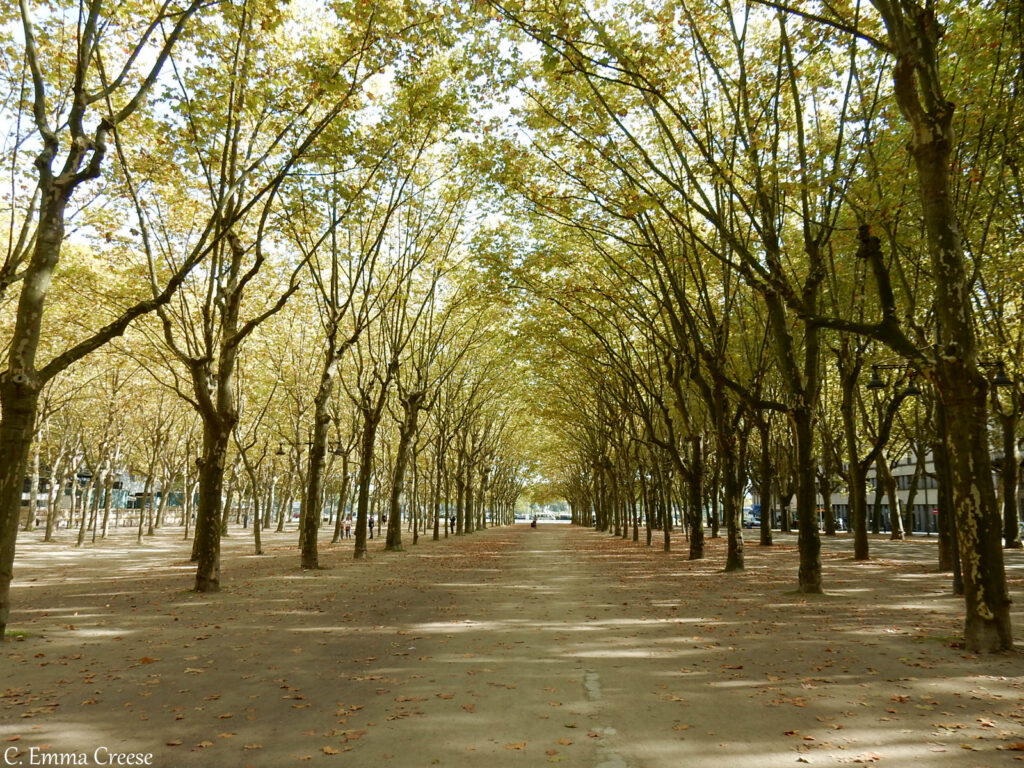 Bordeaux City Break France