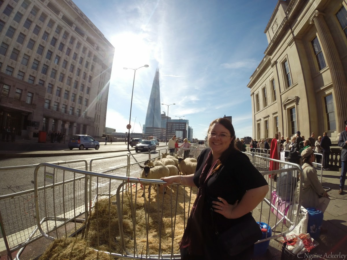 Herding Sheep Across London Bridge Adventures of a London Kiwi