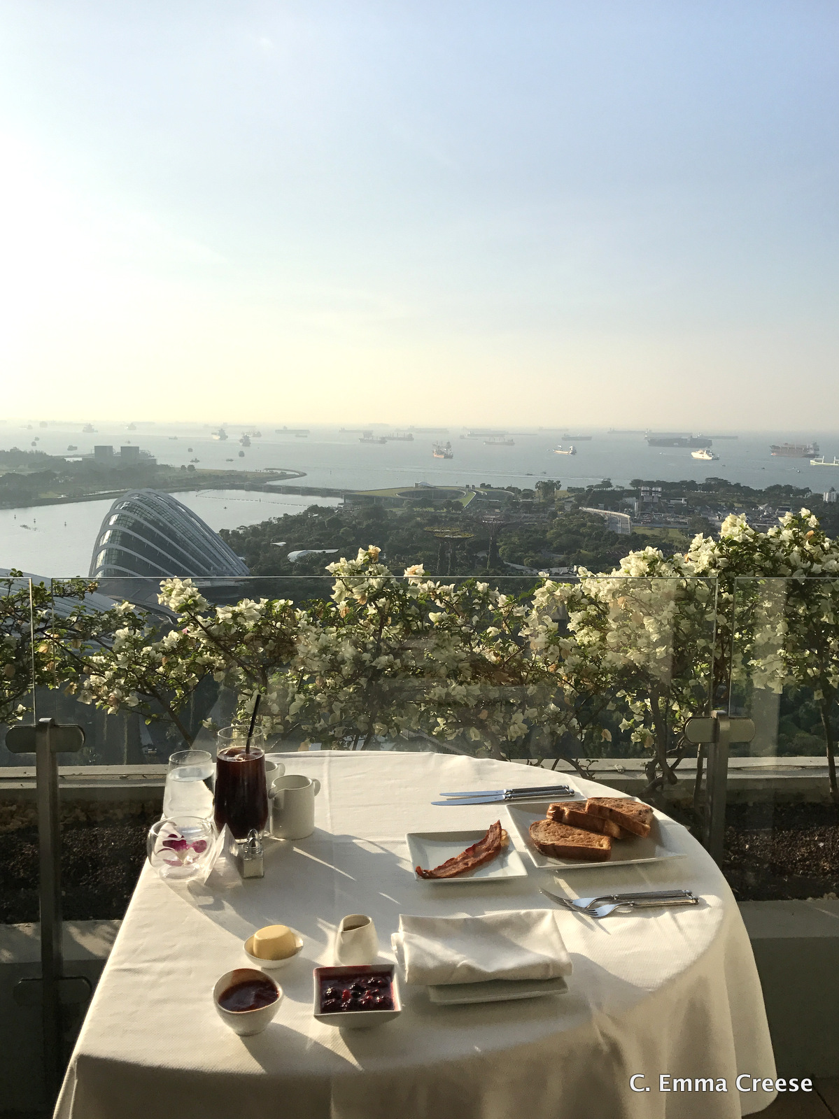 Luxury Hotels in Singapore Marina Bay Sands