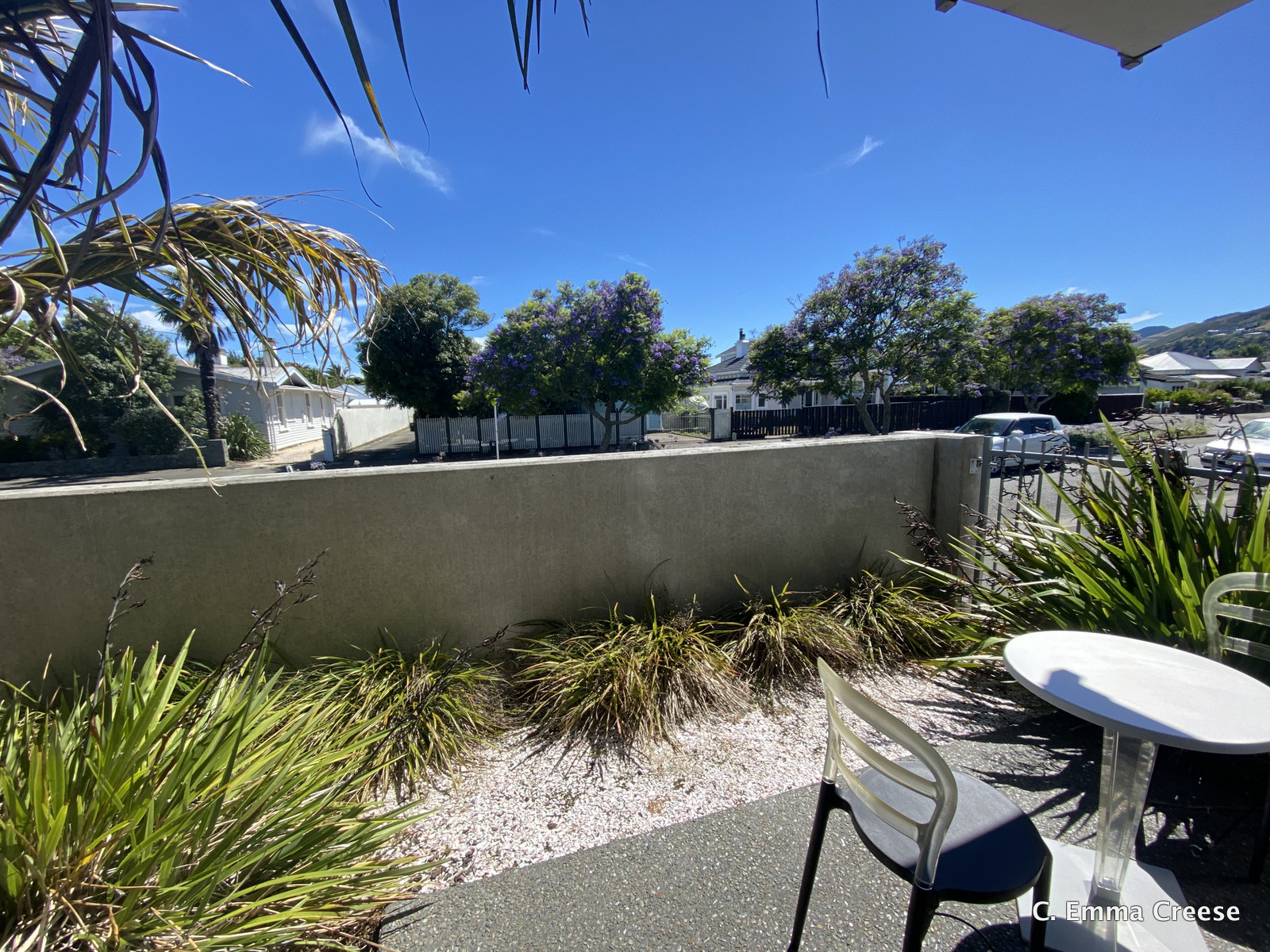 Nelson Accommodation Where to stay Adventures of a London Kiwi