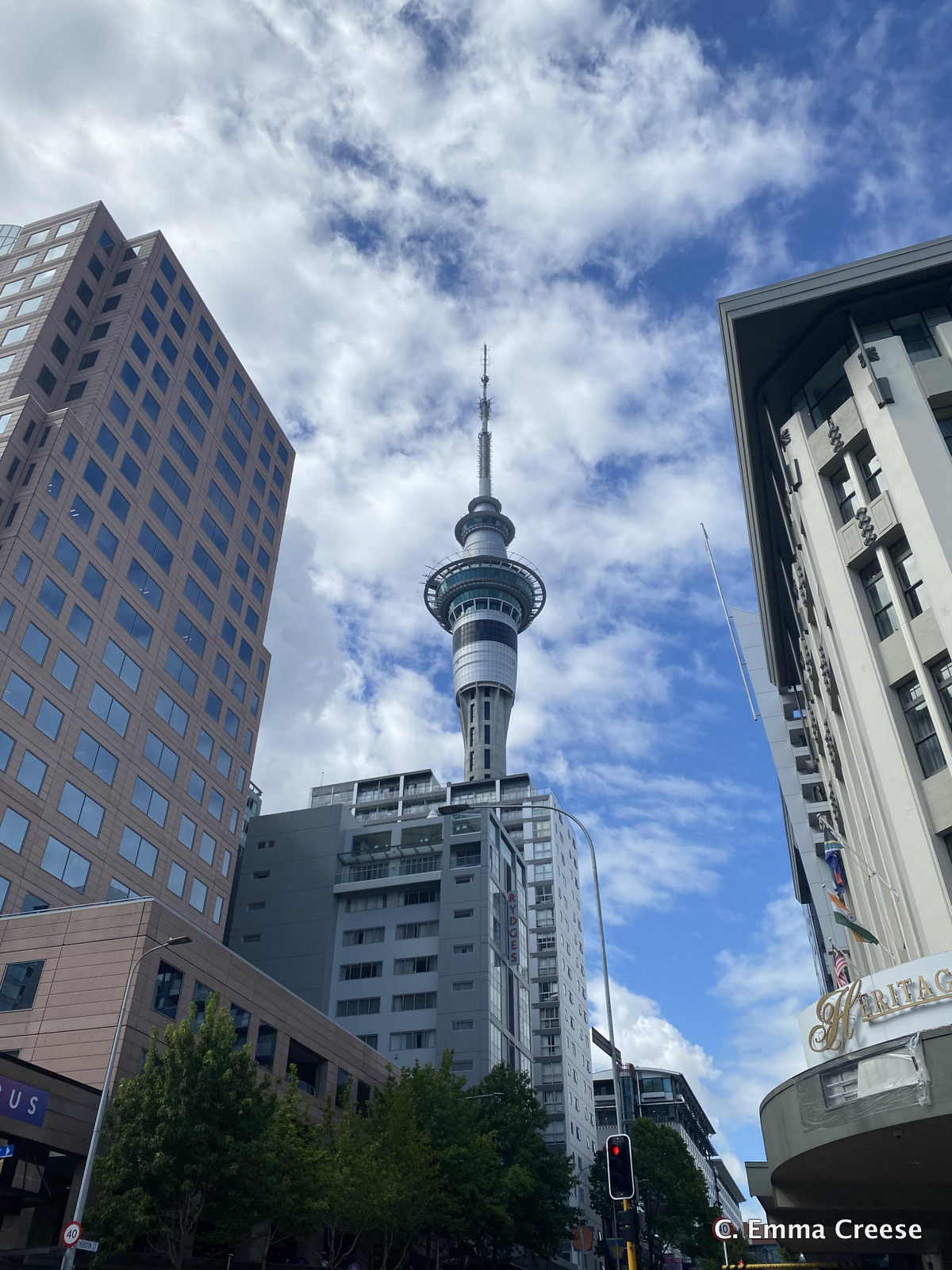 Sugar Club Auckland Luxury Restaurant