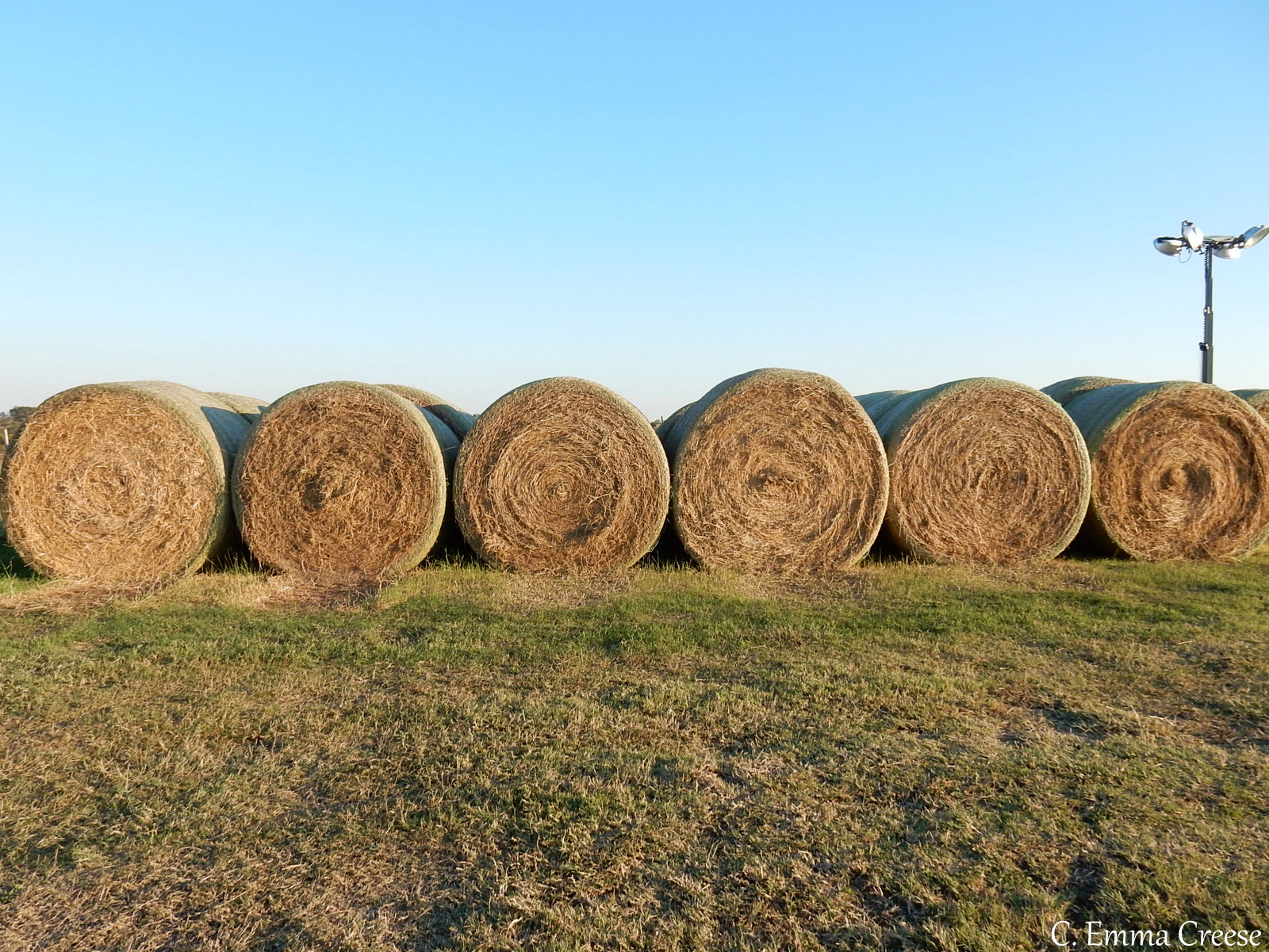 Where to stay in Texas Beaumont Ranch Road Trip Adventures of a London Kiwi