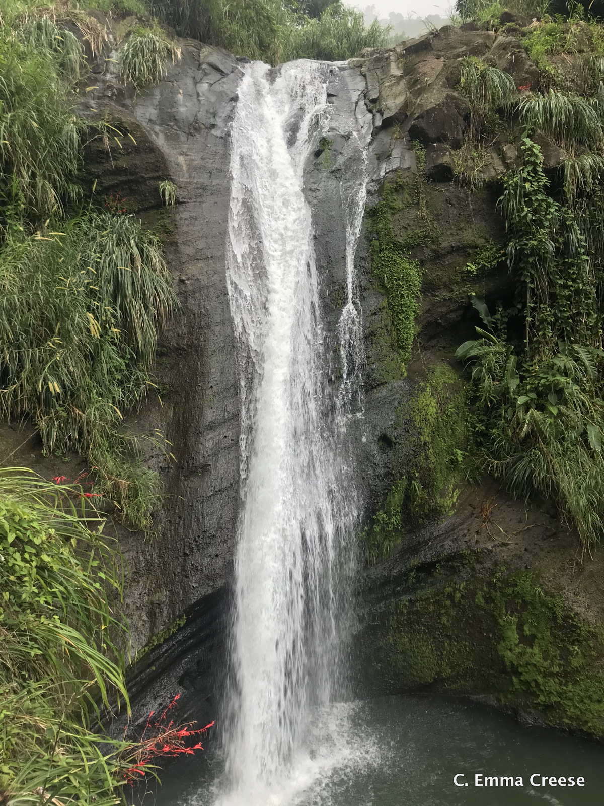 What to do in Grenada