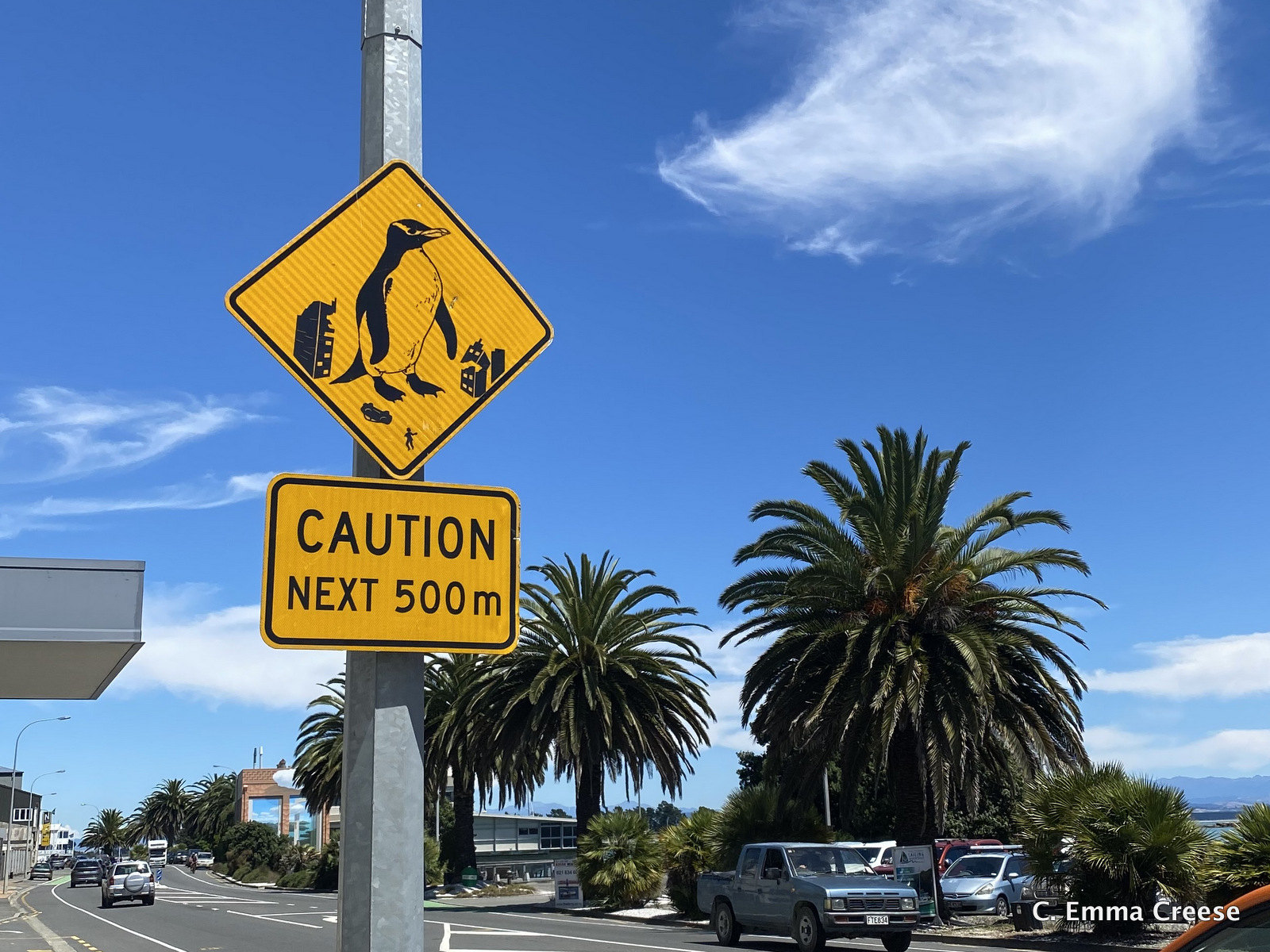 What to do in Nelson Adventures of a London Kiwi