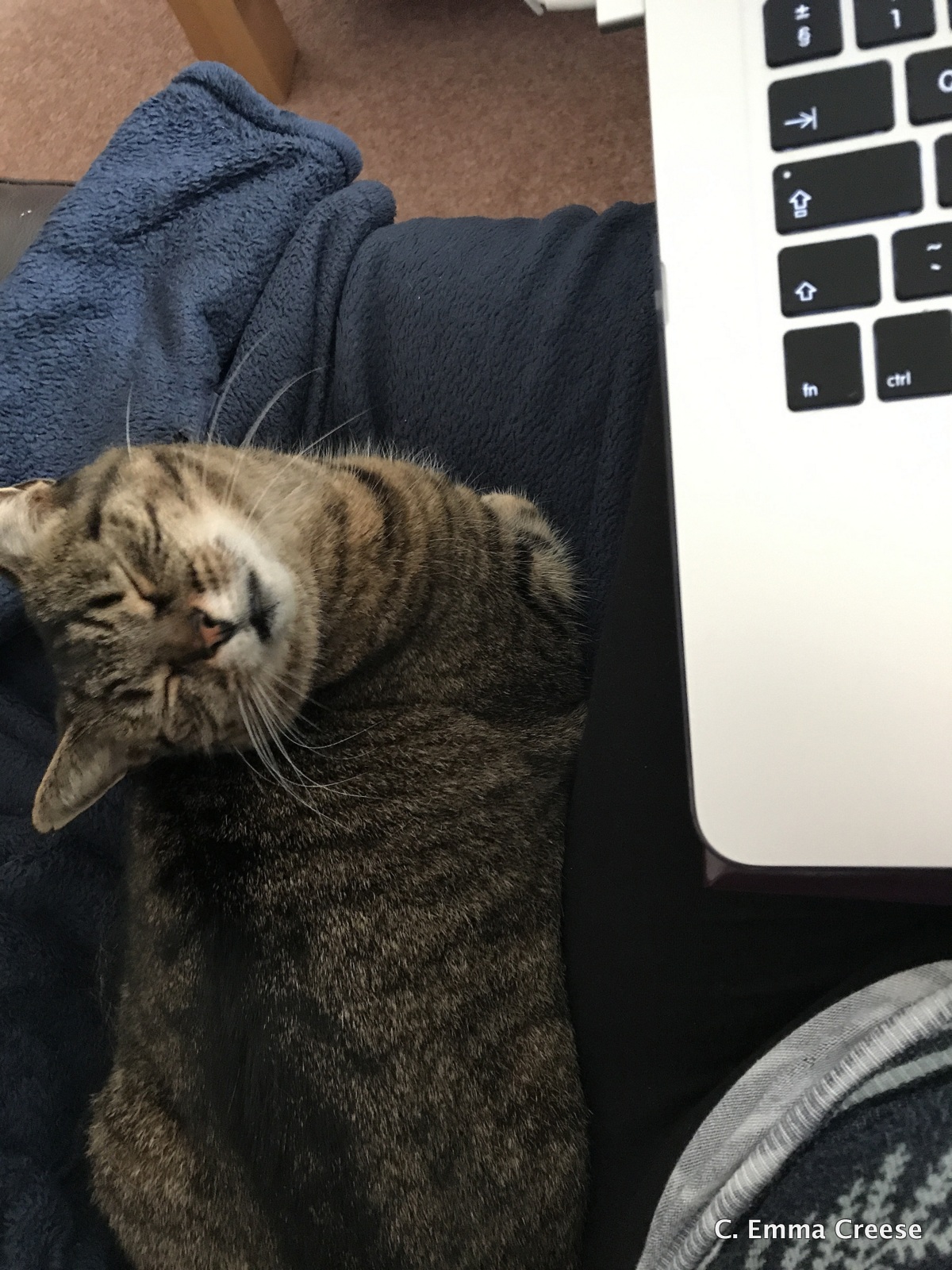 9 Lessons I have learnt as a freelancer Adventures of a London Kiwi