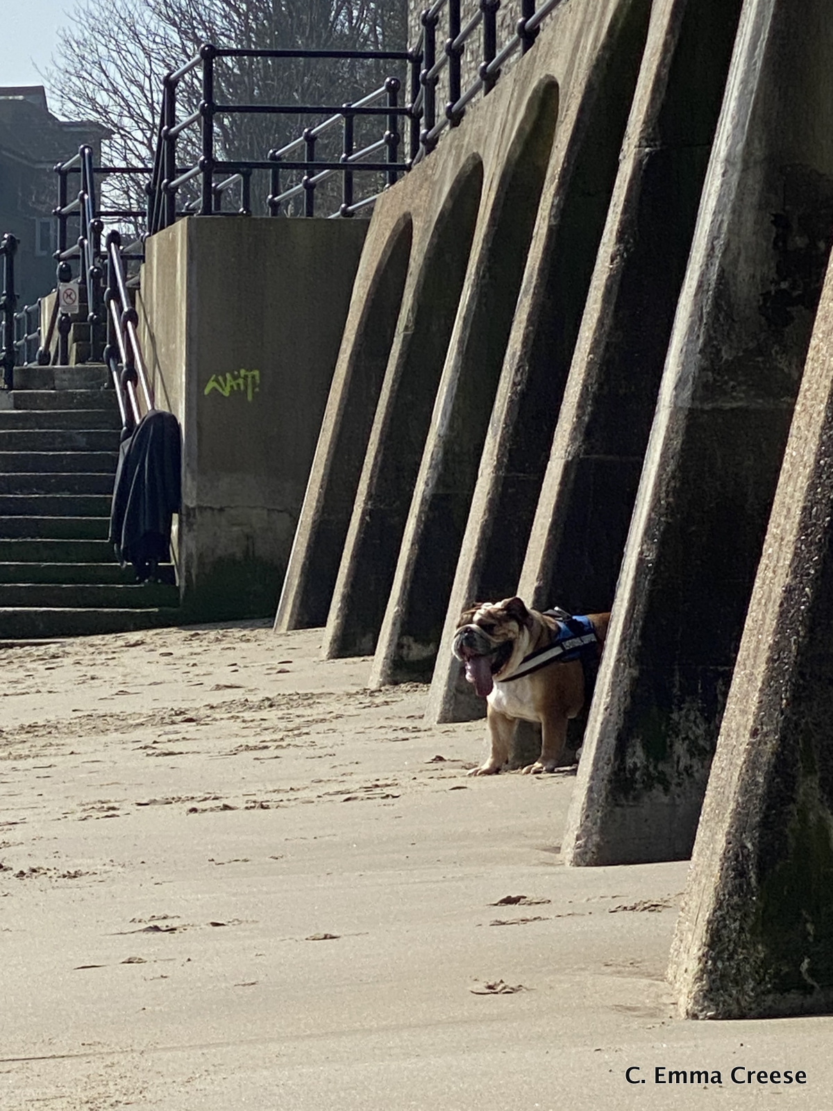 Folkestone Beach Day Trip from London by Train