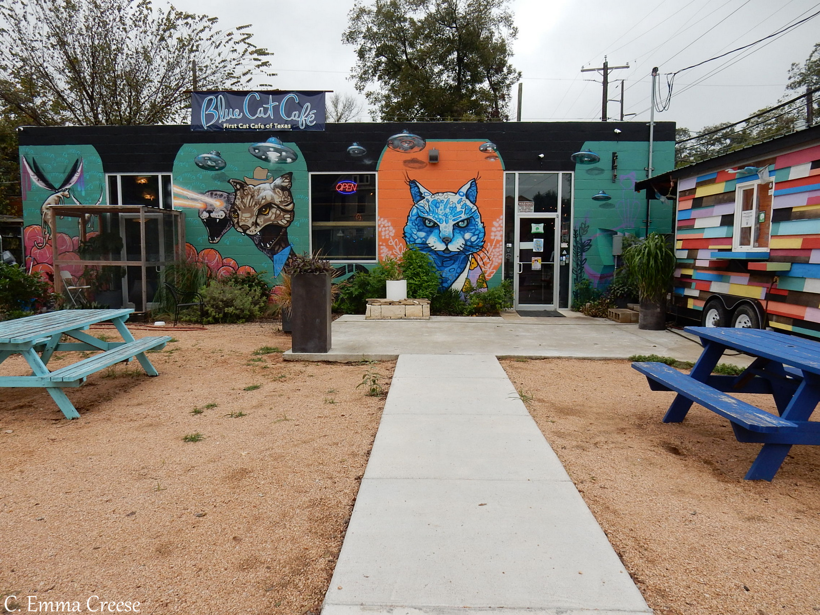 9 of our favourite things to do in Austin Texas Adventures of a London Kiwi