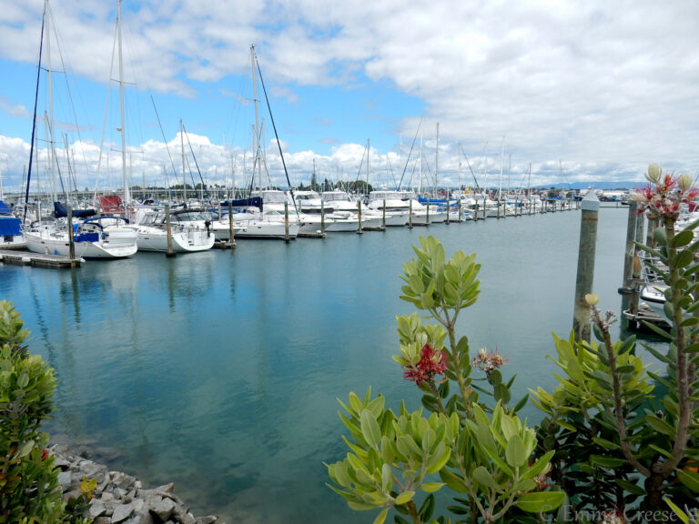 Tauranga Harbour New Zealand Adventures of a London Kiwi