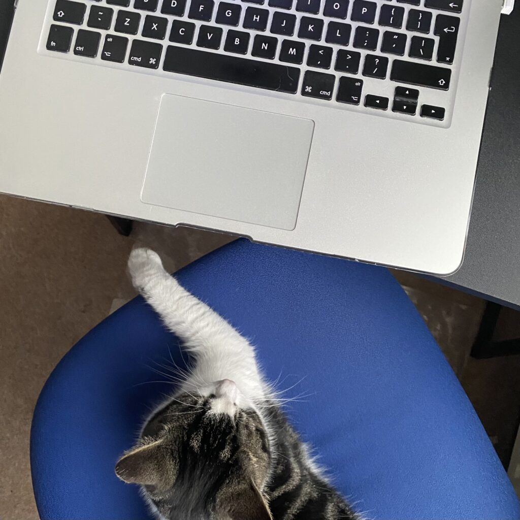 Social Media Freelance London