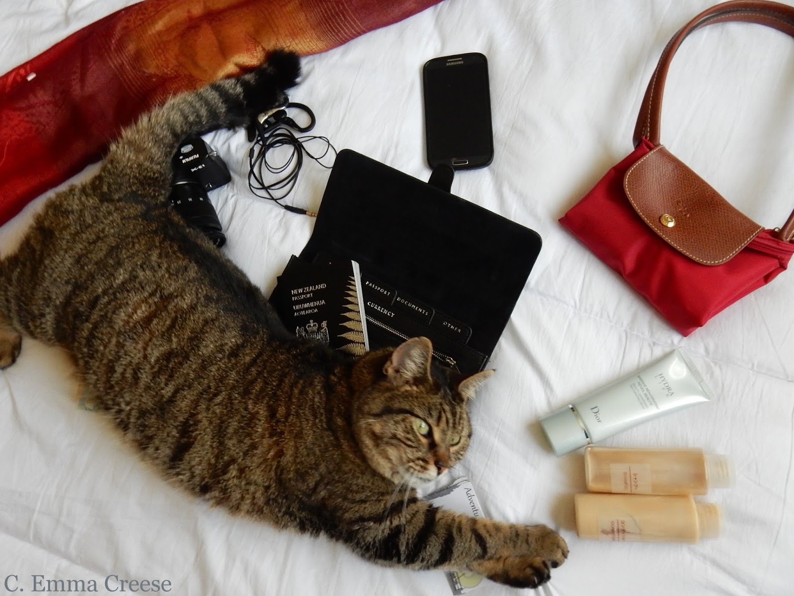 9 Travel essentials you need to pack in your suitcase - Adventures of a London Kiwi