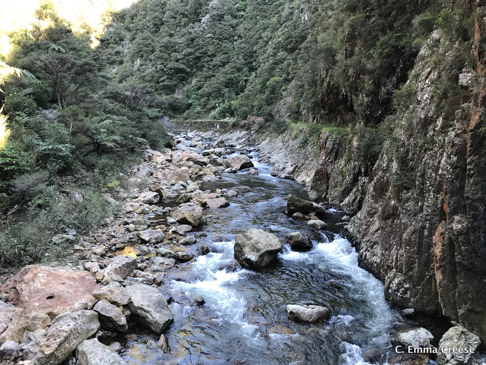 Karangahake Gorge What do to in New Zealand Adventures of a London Kiwi