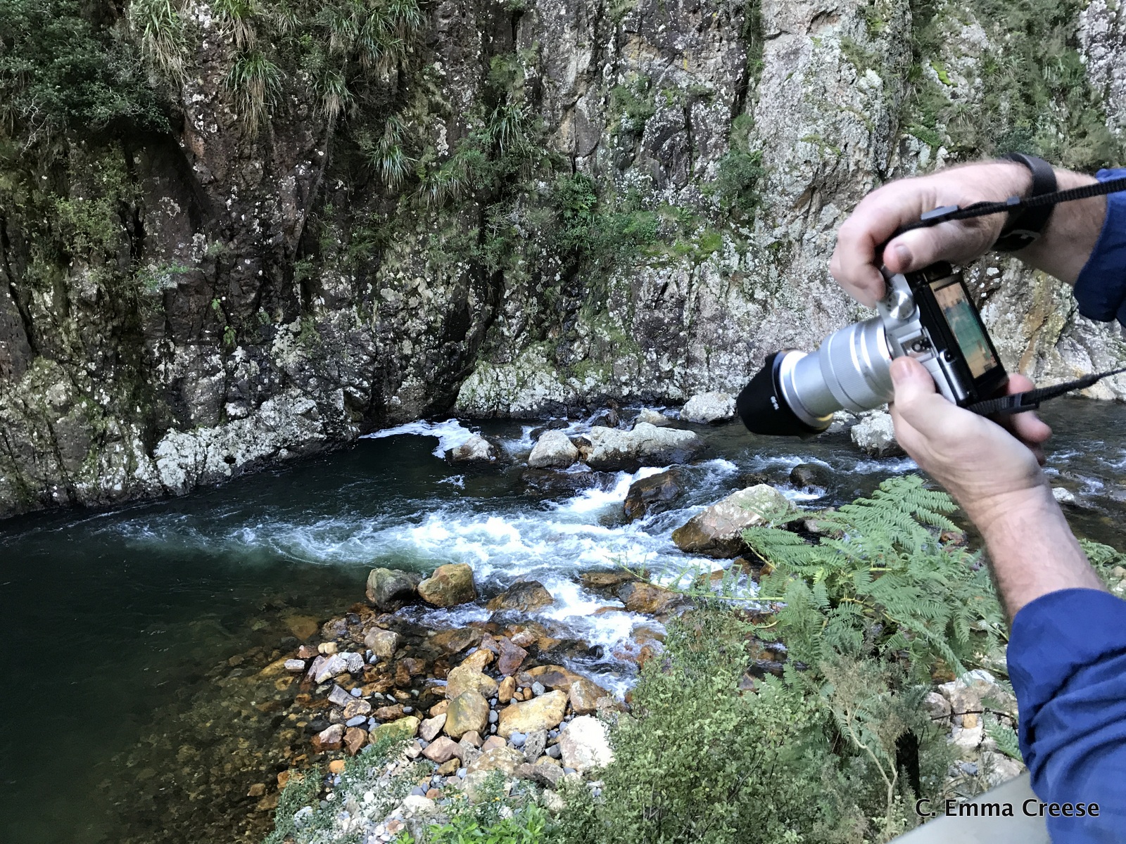 Karangahake Gorge What do to in New Zealand Adventures of a London Kiwi