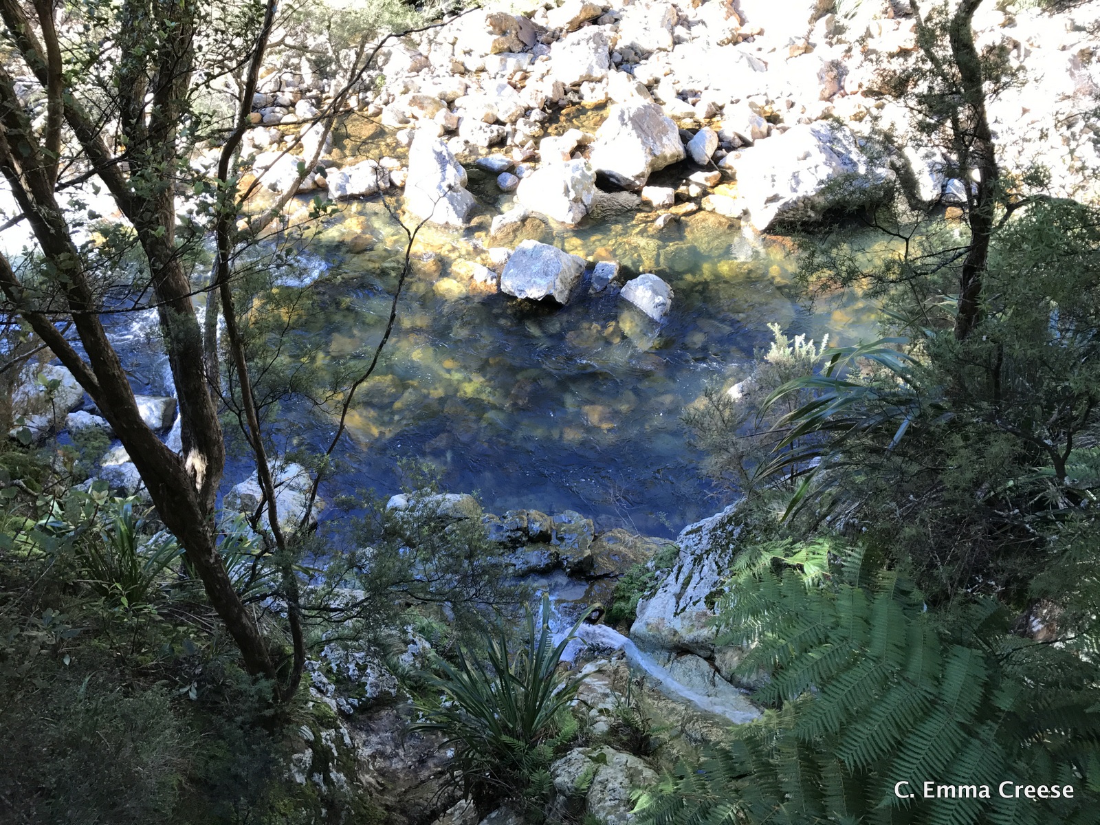 Karangahake Gorge What do to in New Zealand Adventures of a London Kiwi