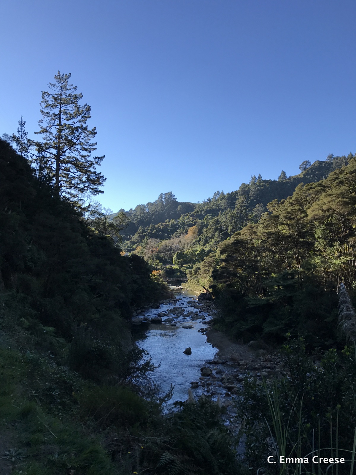 Karangahake Gorge What do to in New Zealand Adventures of a London Kiwi