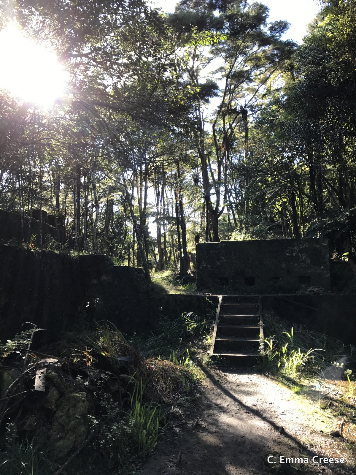 Karangahake Gorge What do to in New Zealand Adventures of a London Kiwi