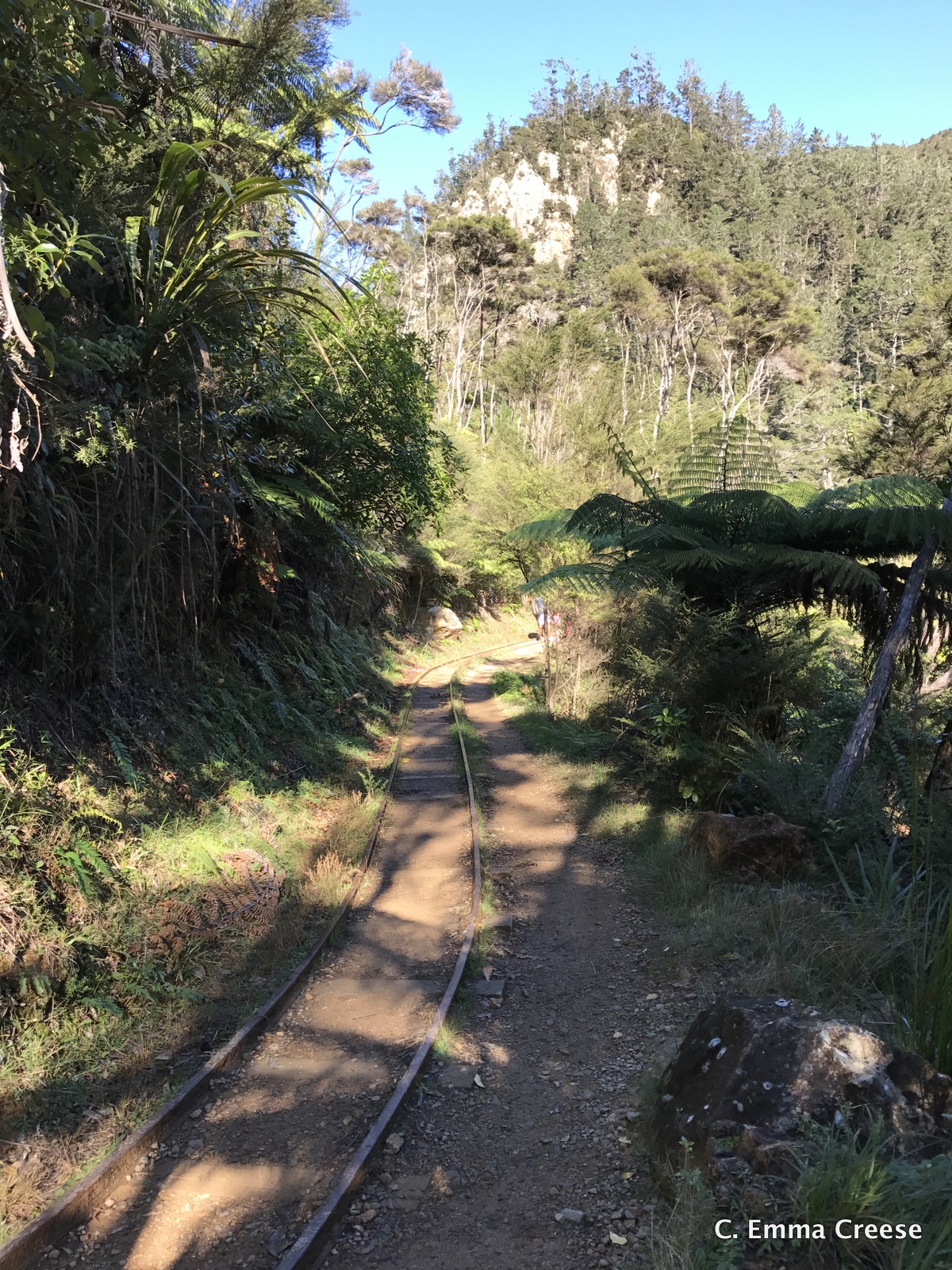 Karangahake Gorge What do to in New Zealand Adventures of a London Kiwi