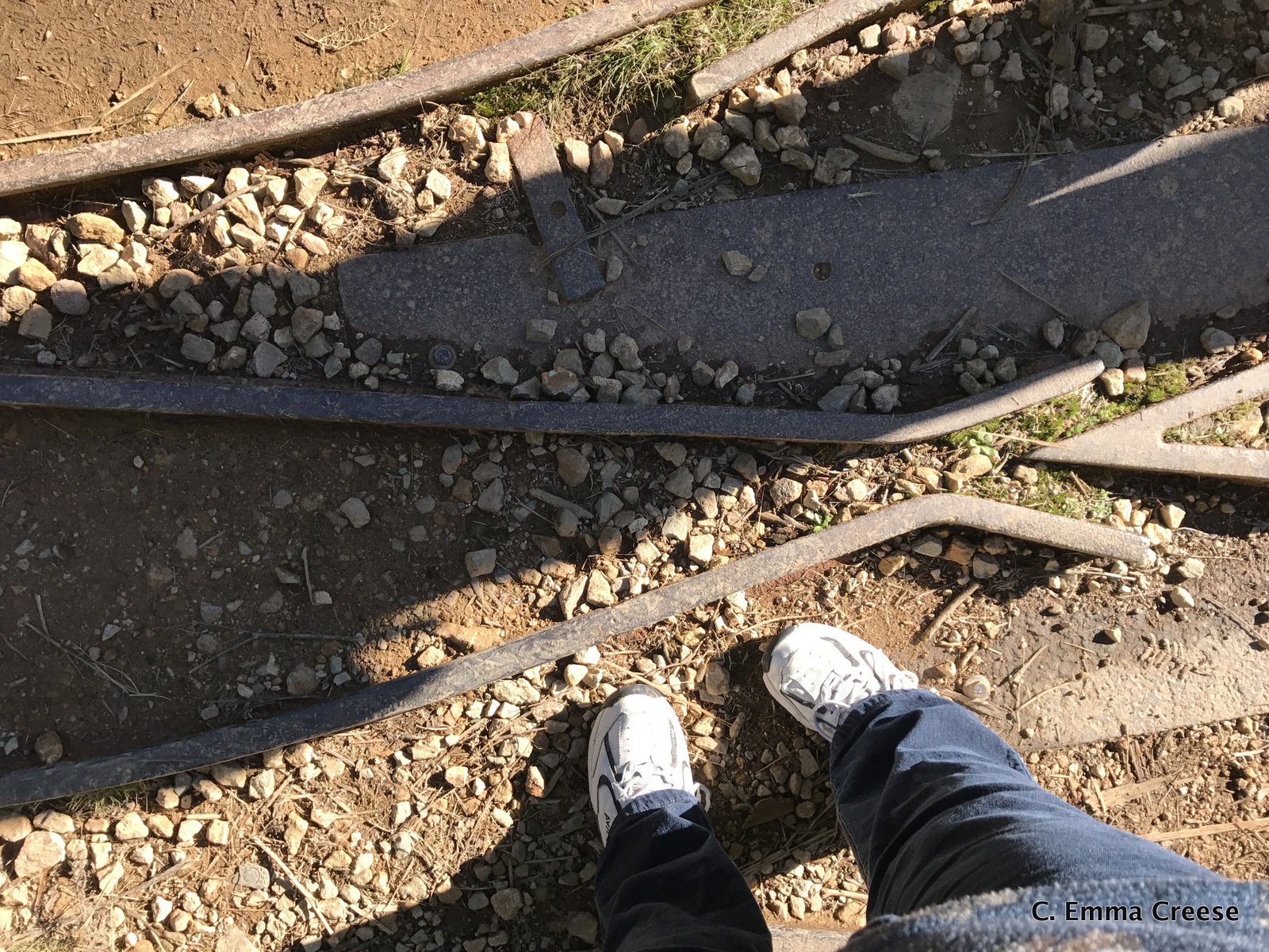 Karangahake Gorge What do to in New Zealand Adventures of a London Kiwi