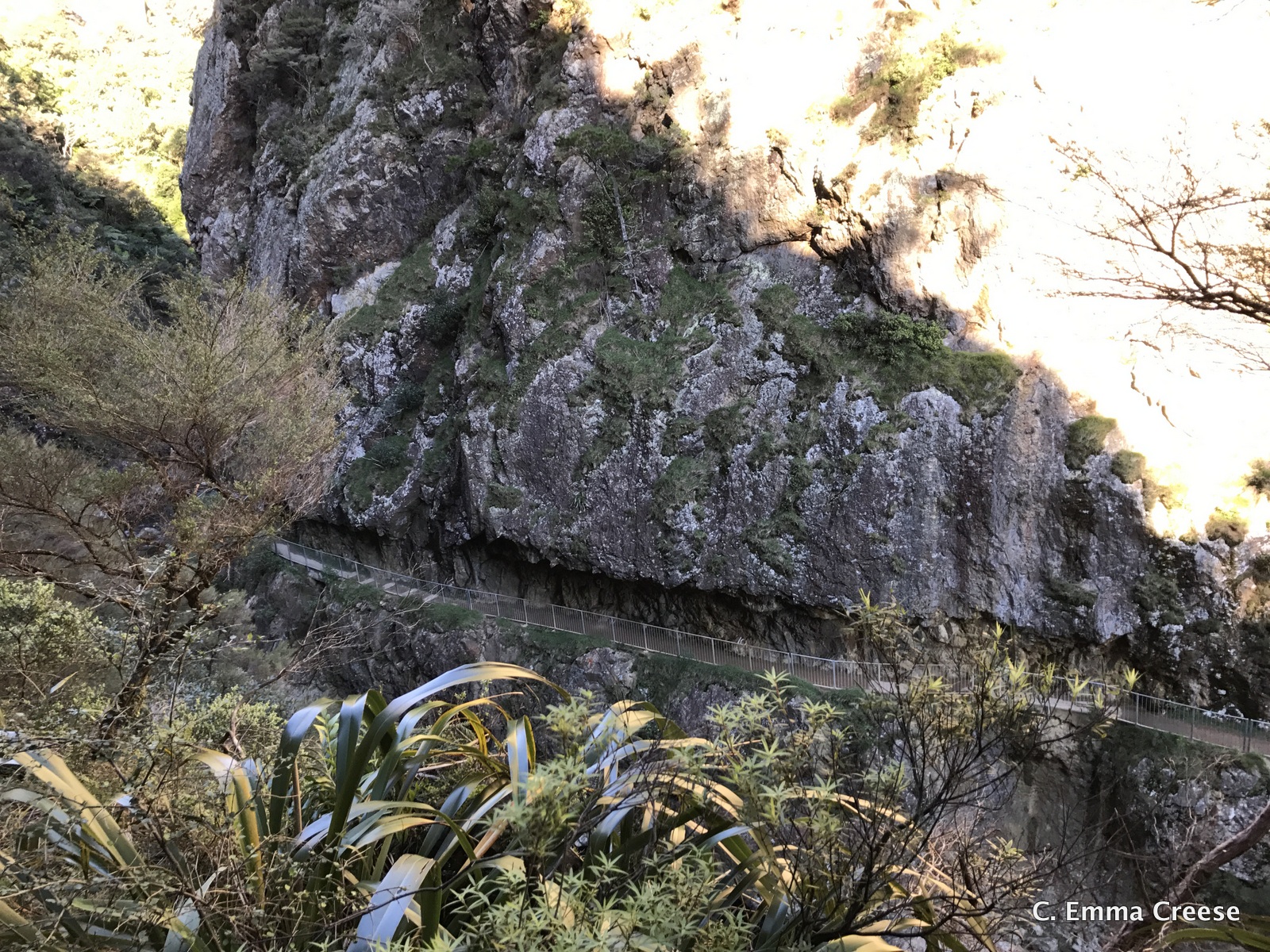 Karangahake Gorge What do to in New Zealand Adventures of a London Kiwi