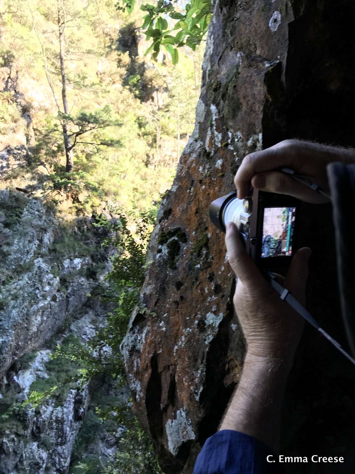 Karangahake Gorge What do to in New Zealand Adventures of a London Kiwi