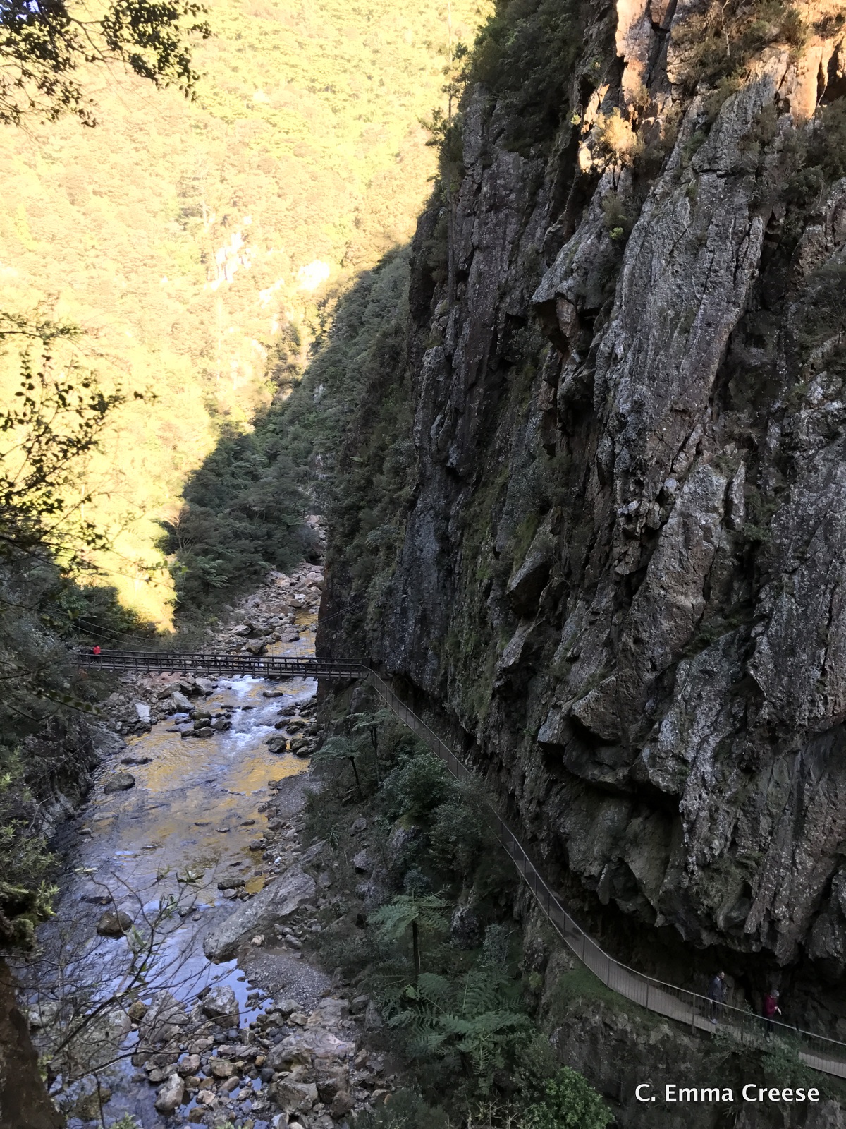 Karangahake Gorge What do to in New Zealand Adventures of a London Kiwi