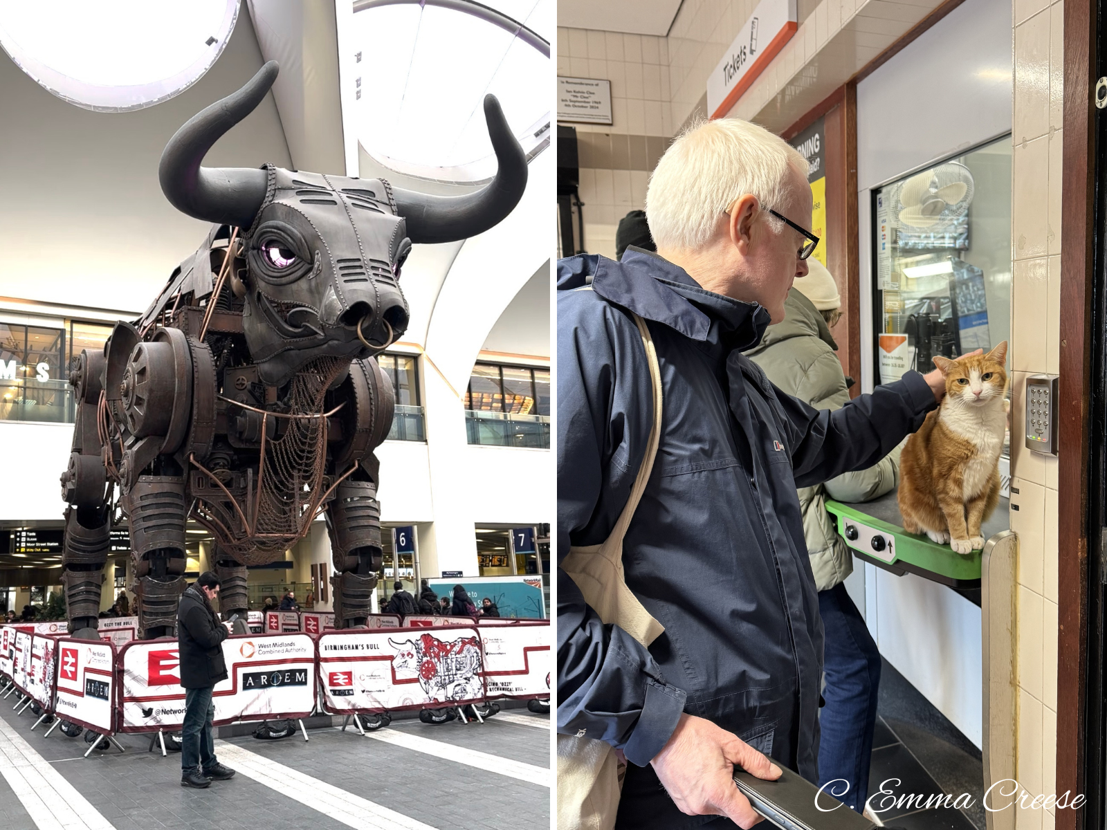 40 BY 40 BUCKET LIST - March Update Adventures of a London Kiwi Travel Blog