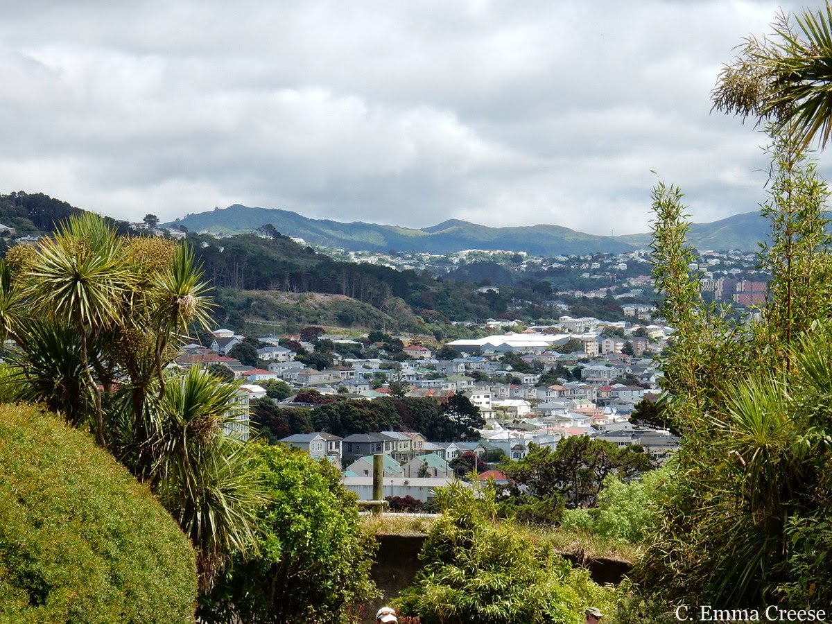 Things to do in Wellington New Zealand